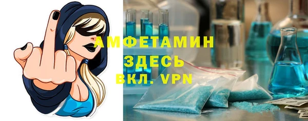 прущие грибы Абинск