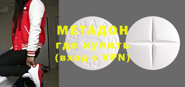 прущие грибы Абинск