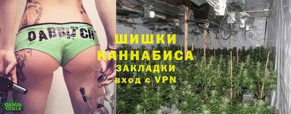 прущие грибы Абинск
