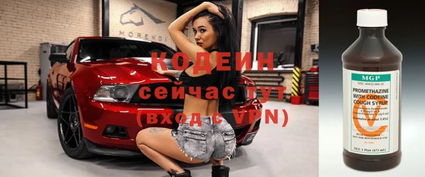 прущие грибы Абинск