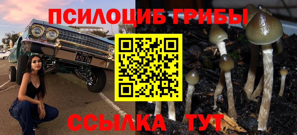 Астрахань  Псилоцибиновые грибы MAGIC MUSHROOMS  Вход с VPN 